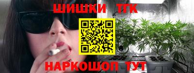 индика Краснознаменск